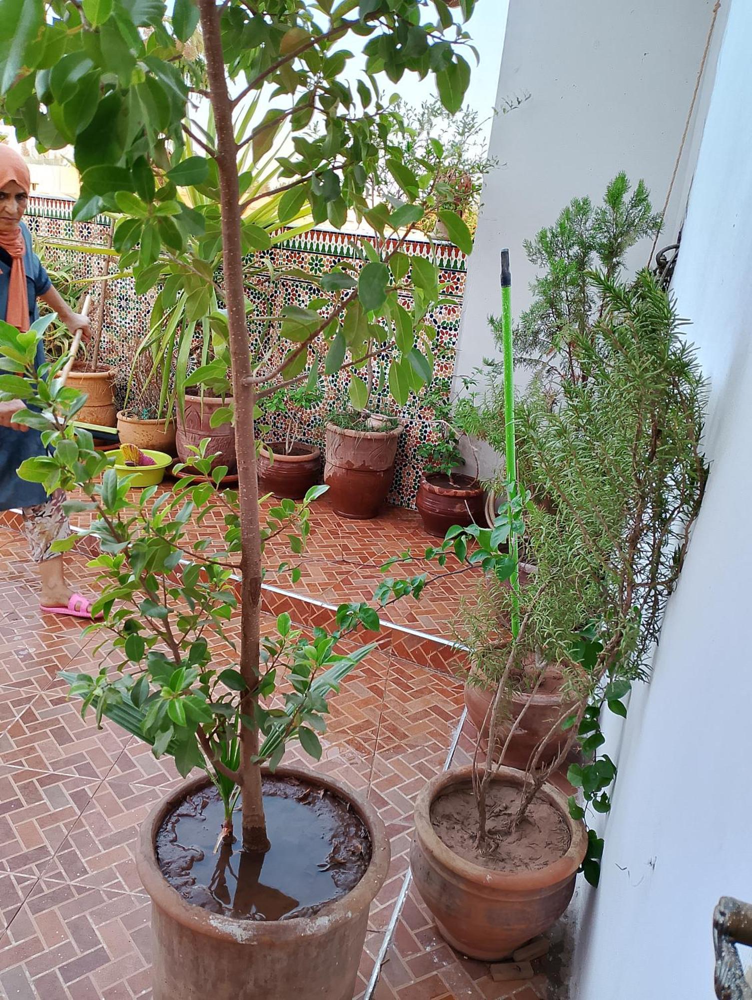 Bab Doukkala Marrakesh Hotel Exterior photo